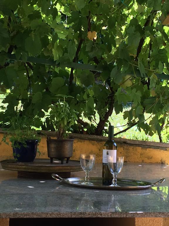 La Casanova Bed and Breakfast Τορίνο Εξωτερικό φωτογραφία